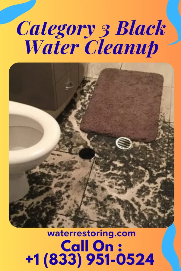 Category 3 Black Water Cleanup in Gandy, NE
