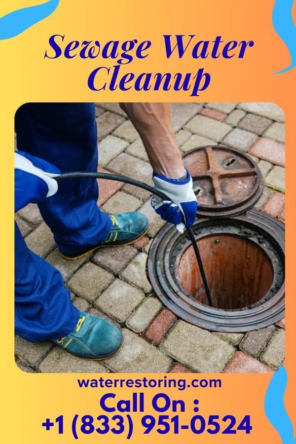 Sewage Water Cleanup in Gandy, NE